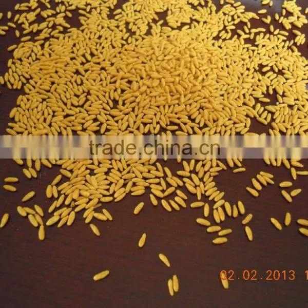 High Quality Artifical Rice Process Equipment photo-2