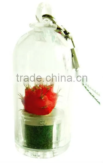 Pet Tree Keychain Mini Pet Plant photo-6