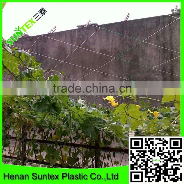 Wholesale Extruded Plastic Cucumber Climbing Net Made in China photo-3