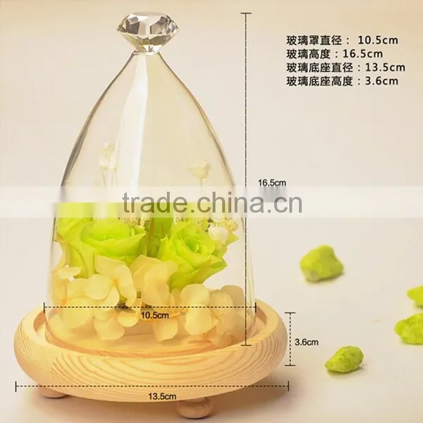 Round Glass Dome, Glass Bell Jar,Glass Dome Cover photo-2