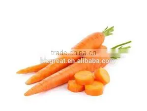China Fresh Carrot for Sale
