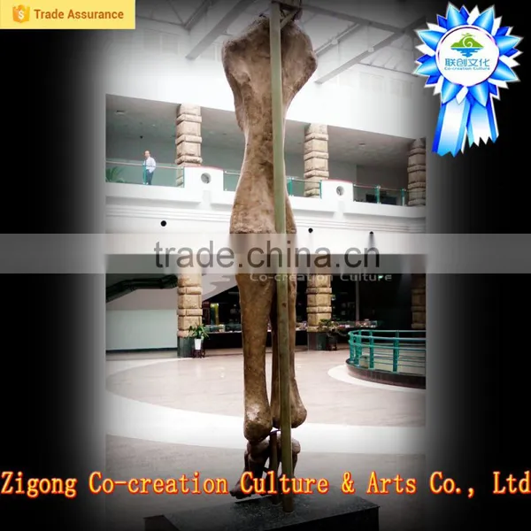 Display Hall Dinosaurs Skeleton Replica photo-4