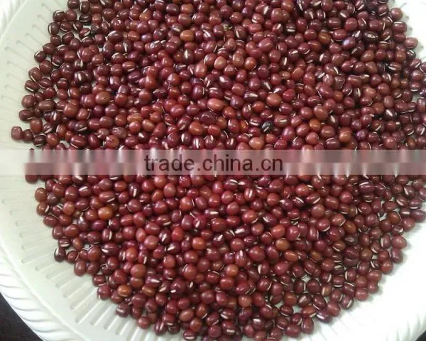 Cheap's Chinese New Crop Red Adzuki Beans photo-4