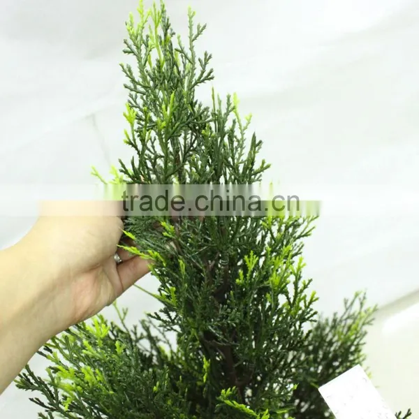 Winter Decoration Green Fake Artificial Big Tree photo-3