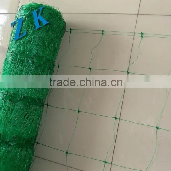 Plastic Wire Mesh/Plastic Flat Mesh/Plastic Plain Netting photo-3