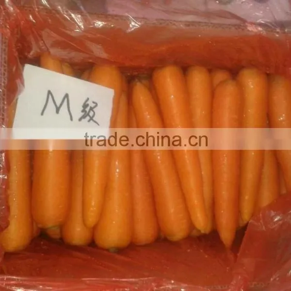2016 New Corp Chinese Fersh Carrot photo-2
