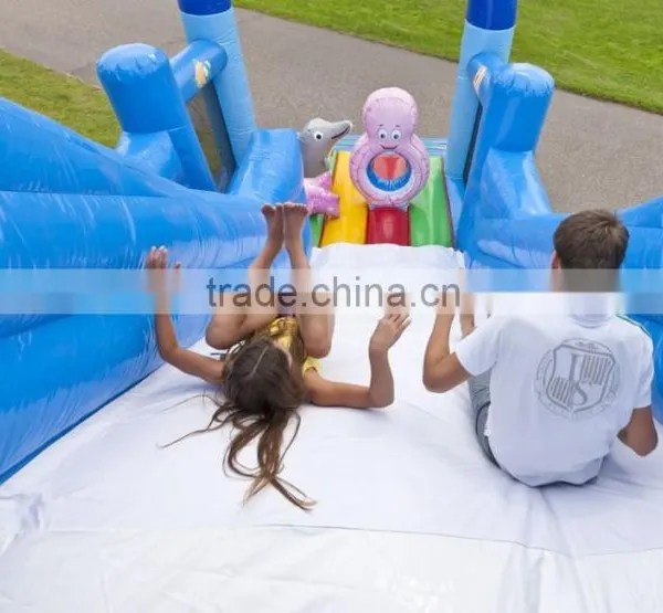 Inflatable Dry Slide for Sale, Cheap Price Inflatable Slide photo-6