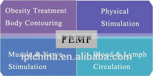 Newest Pemf Body Slim Machine With Radio Frequency photo-3
