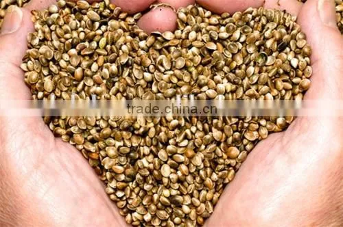 Hot Selling Wholesale Agricultural Hemp Seeds photo-3