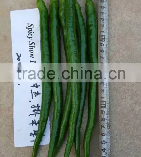 Hybrid F1 Hot Chili Pepper Seeds For Growing-Spicy Show 103 photo-2