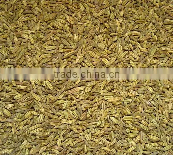 Fennel Seeds photo-2