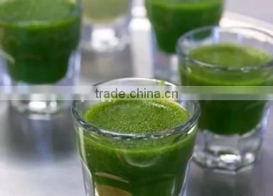 2015 Health Food Organic Barley Grass Powder photo-4