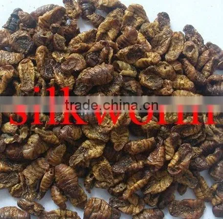 Microwave Dried Silkworm photo-2