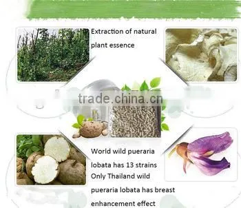 Thailand Pueraria Mirifica Capsules Big Breast Enhancement 1000 Pcs photo-2