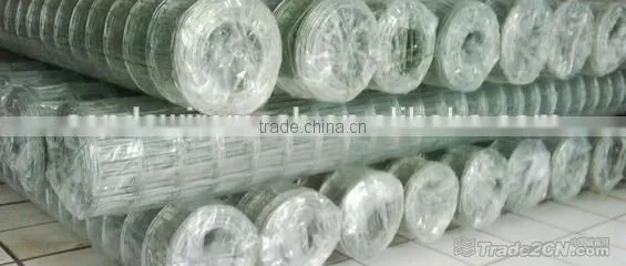 2016 Hot Sale /Strong Quality Welded Wire Mesh(Galvanized/PVC Coated)/ From Anping Factory photo-6