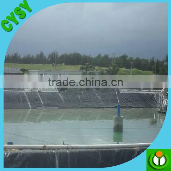 Waterproof Membrane With Cheap Price and Best Quality/membrane Price/pond Liner Price photo-3