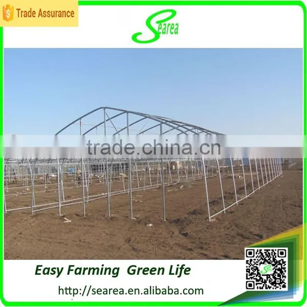 Professional Greenhouse Manufacturer Complete Greenhouse for Sale photo-2