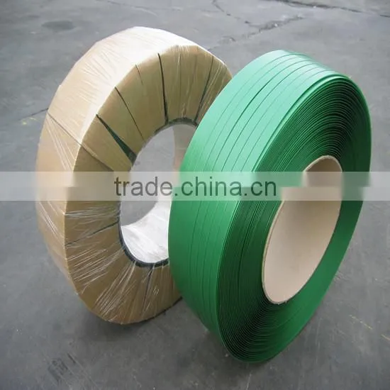 Colour PET Packing Belt photo-3