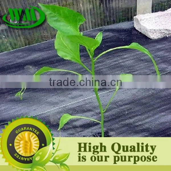 Pp/pe Woven Weed Control Fabric photo-3