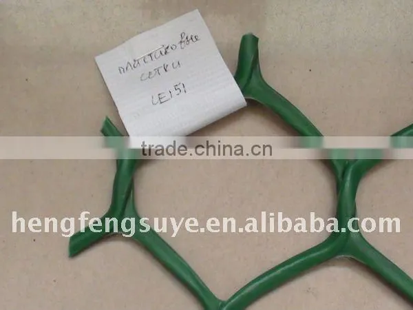 Quality Polyester Geogrid/ Fiberglass Geogrid / Geonet Driect China Factory photo-3