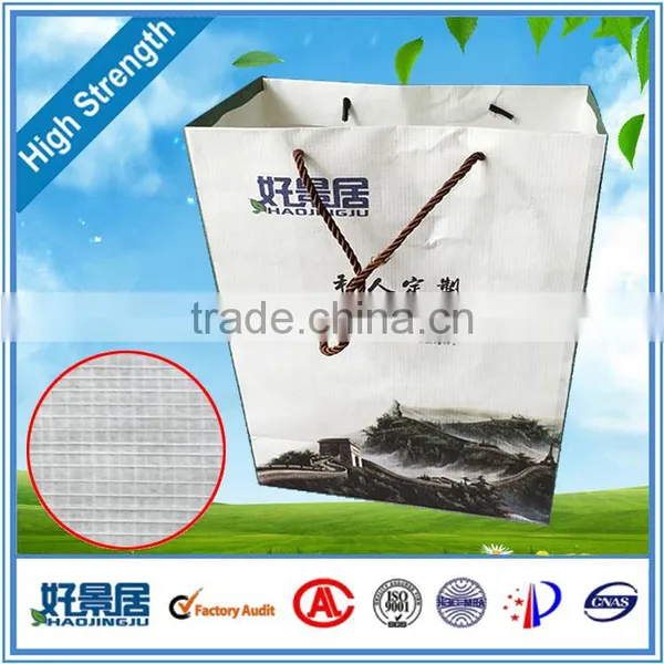 2016 Promotional Green Shopping Gift Bag With Pipe Handle photo-6