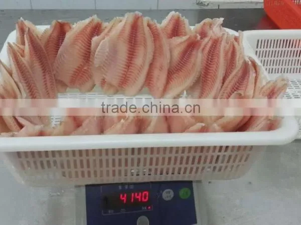 Frozen Tilapia Fillet (Oreochromis Niloticus) photo-2
