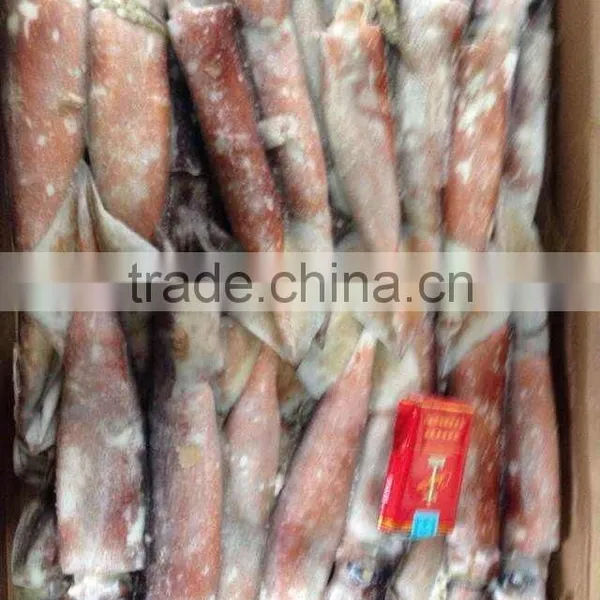 Whole Round Frozen Squid Todarodes Pacificus photo-2