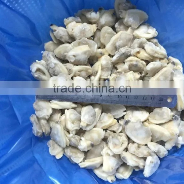 Hot Sales IQF Baby Clam Meat photo-2