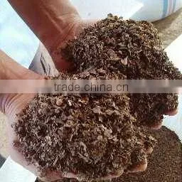 Chopped Sargassum Seaweed photo-2