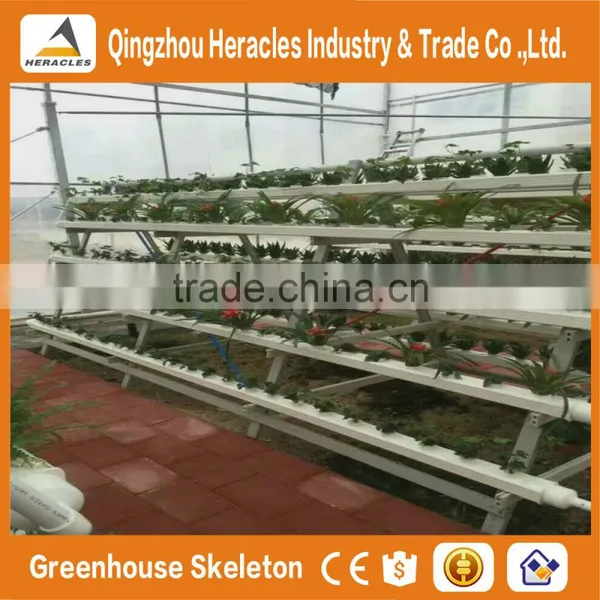 Heracles Commercial Idustrial Hydroponic Systems For PC Greenhouse /Vegetable Greenhouse photo-5