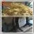 Artificial Decorative Tree 3meter Large Outdoor Gold Artificial Tree Branches and Leaves photo-4