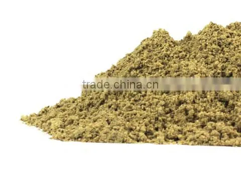 TRIBULUS TERRISTRIS photo-2