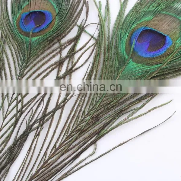 Factory Direct Sale Spot Supply Top Quality Peacock Feather photo-2