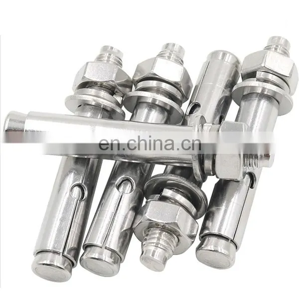 Stainless Steel Anchor Wedge Anchor Bolt and Expansion Anchor Bolt M12 photo-3