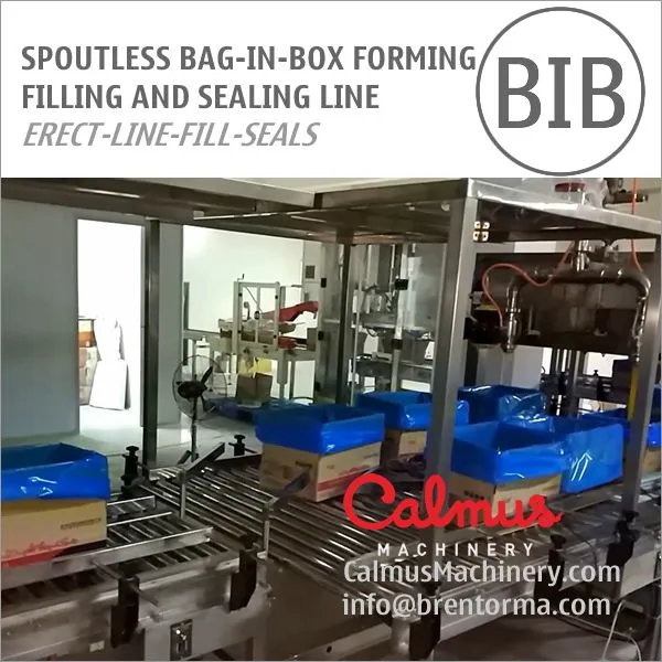 Spoutless Carton Liner Bag in Box Filling and Packaging Line for Semi-Liquids
