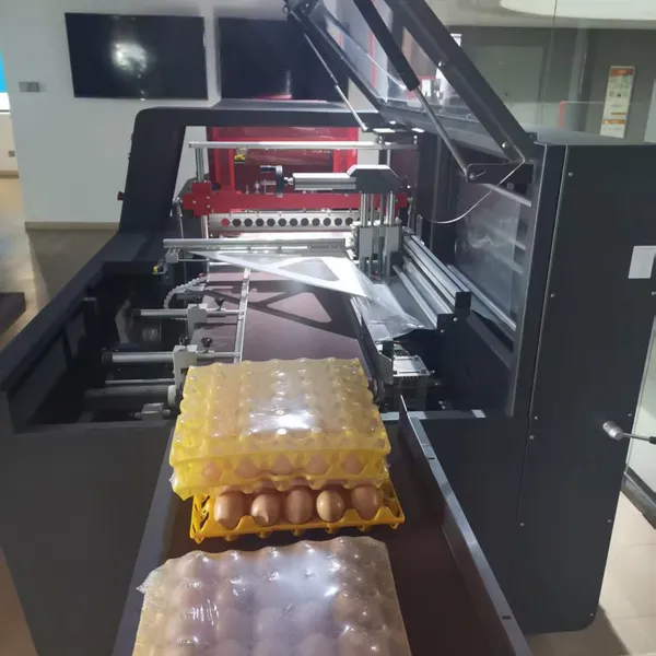 POF Shrink Film Packaging Machine photo-4