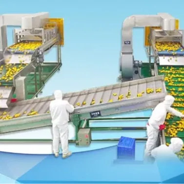 Automatic Industrial Complete Pineapple Juice Production Line