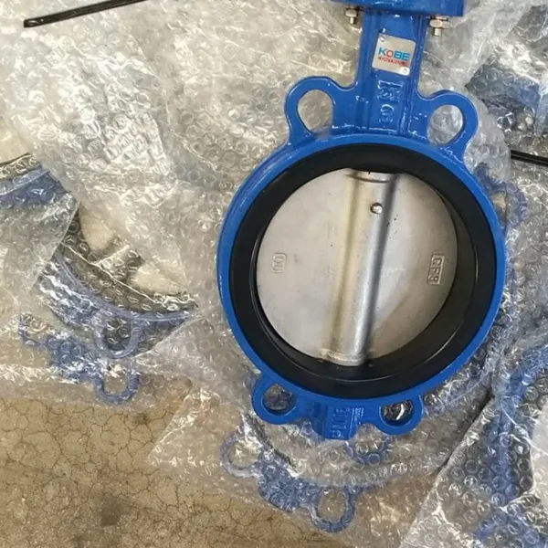 Resilient Seat Ductile Cast Iron Stainless Steel Aluminium Alloy Bronze Wafer Butterfly Valve Lug Double Flange Butterfly photo-2