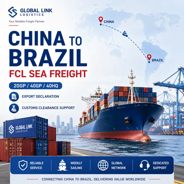 Flete marítimo de contenedor completo (FCL) de China a Brasil para importadores de carga comercial
