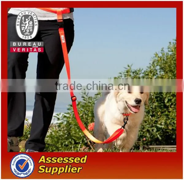 Fashion Dog Collar and Leash/pet Leash