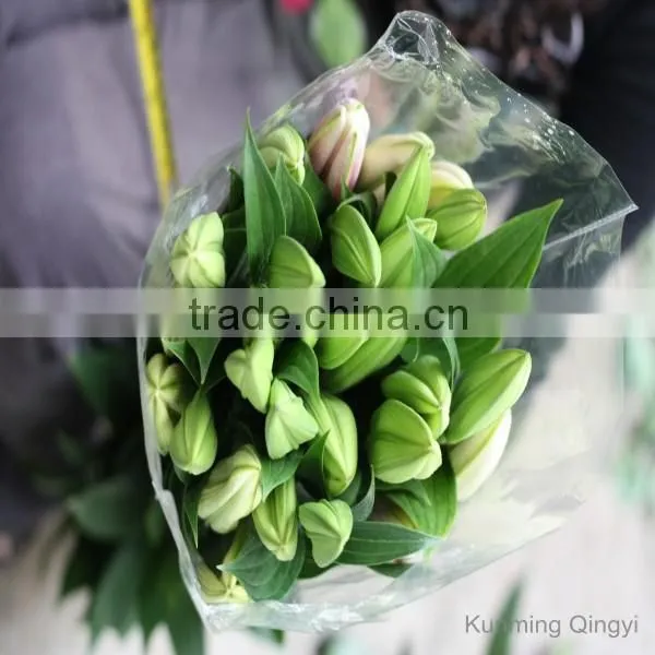 Fresh Cut Flowers Lily Flower