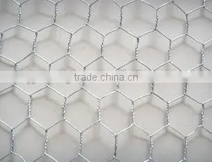 Hexagonal Wire Mesh