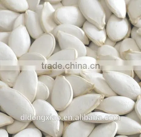Shine Skin Pumpkin Seeds Squash Seeds Best Face Lotion Dry Skin photo-4