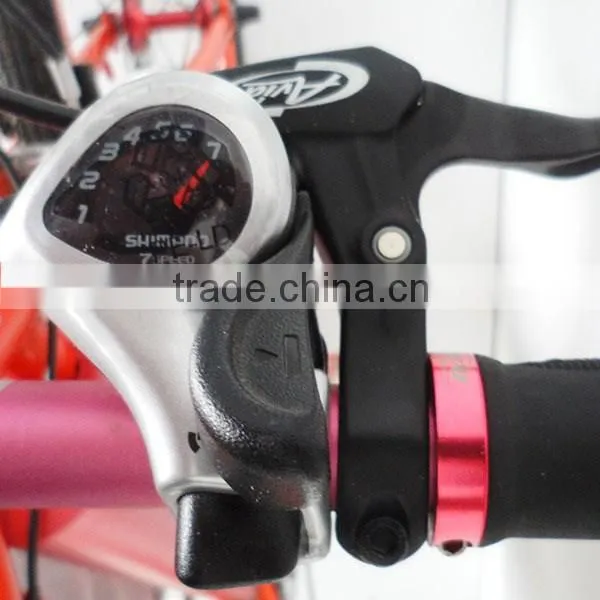 High Power Lithium Battery Electric Bike 2015 photo-5