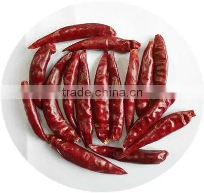 Dry Red Tianying Chili photo-3