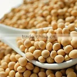 Genistin Standard Herbal Extract Soybean Isoflavones 20%, 40% HPLC