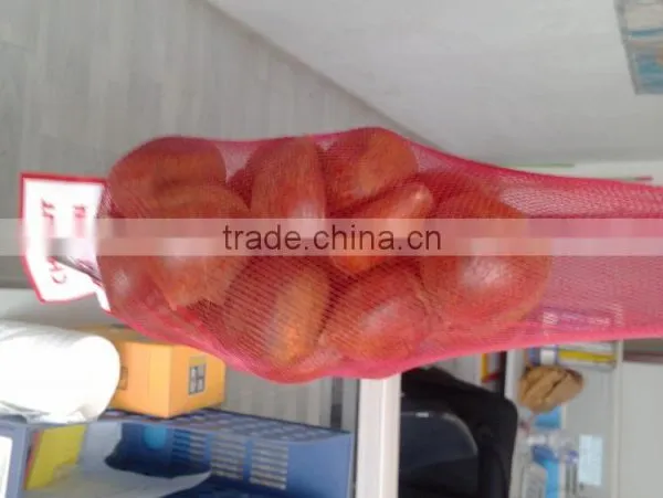 Good Reputation of Chinese Fresh Chestnut in Shell. photo-5