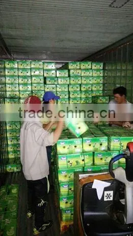 Product Quality of Hkvimex Viet Nam Lemon photo-4
