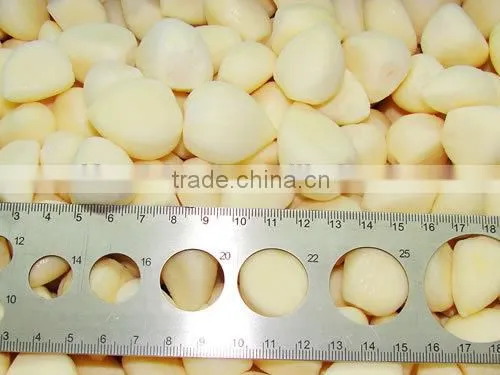 Factory of Frozen Peeled Garlic photo-2
