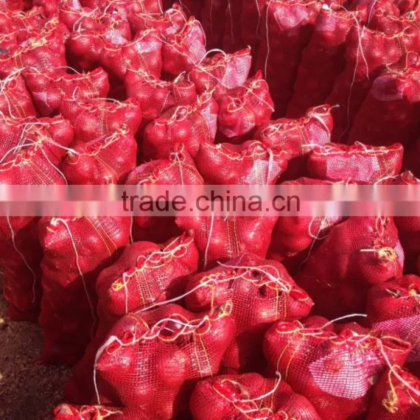 Fresh Red Onion photo-3